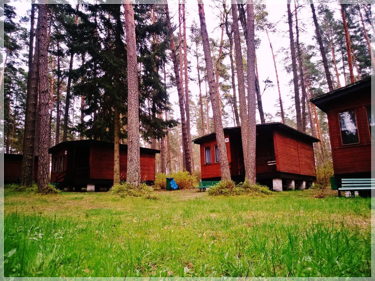 Osrodek Wypoczynkowy Warmia Vila Butryny Exterior foto